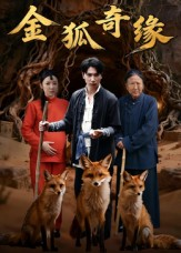 金狐奇缘(42集) 金狐奇缘(42集)推荐热门短剧