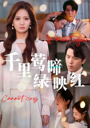 千里莺啼绿映红(63集) 千里莺啼绿映红(63集)好看的短剧电影