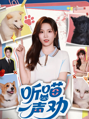 听喵一声劝（60集）精彩不断免费看