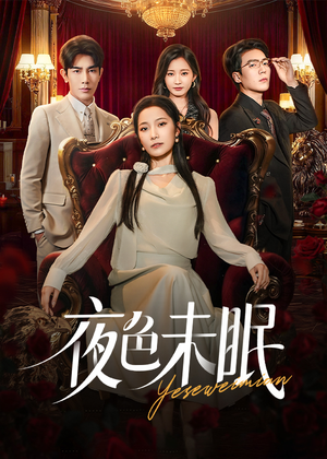 夜色未眠（60集）经典老剧免费看