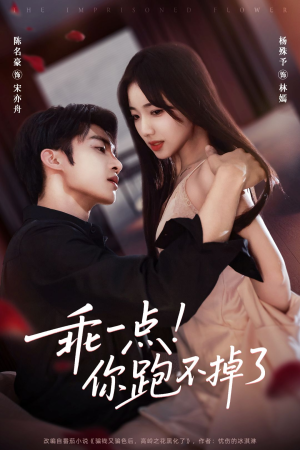 乖一点！你跑不掉了（80集）爆款短剧追不停