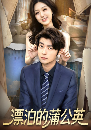 漂泊的蒲公英(60集) 漂泊的蒲公英(60集)爆火短剧抢先看