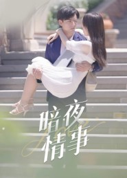 暗夜情事(100集) 暗夜情事(100集)短剧
