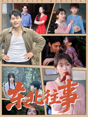 东北往事（60集 ）精彩的短剧