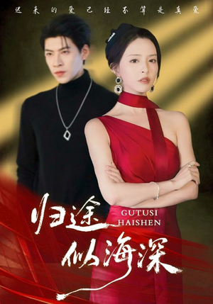 归途似海深(61集) 归途似海深(61集)80到100集