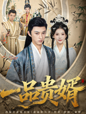 一品贵婿（80集）高分推荐免费看