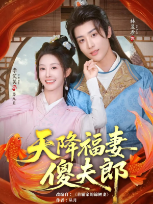 天降福妻傻夫郎(85集) 天降福妻傻夫郎(85集)好看吗