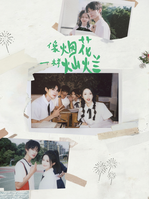 像烟花一样灿烂(60集) 像烟花一样灿烂(60集)火热短剧抢先看