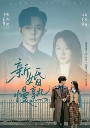 新婚慢熟(105集) 新婚慢熟(105集)在线免费观影