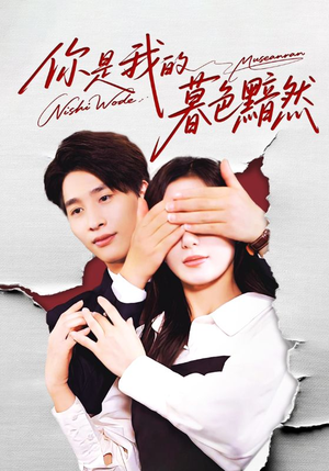 你是我的暮色黯然(80集) 你是我的暮色黯然(80集)在线播放