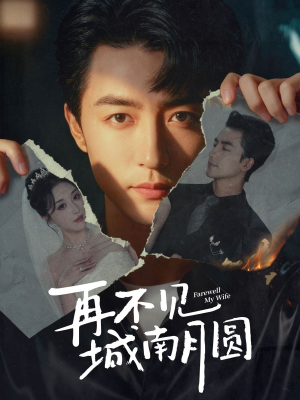 再不见城南月圆(60集) 再不见城南月圆(60集)好看的短剧推荐