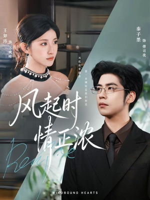 风起时情正浓(79集) 风起时情正浓(79集)西瓜短剧免费看