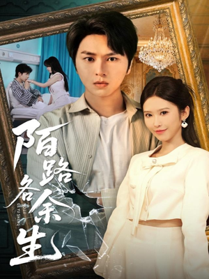 陌路各余生(65集) 陌路各余生(65集)在线观看