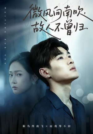微风向南吹,故人不曾归(72集) 微风向南吹,故人不曾归(72集)精彩短剧免费看