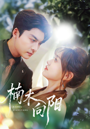 楠木向阳（70集）观看软件
