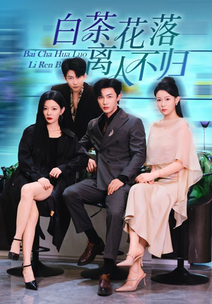 白茶花落离人（51集）精彩短剧来了