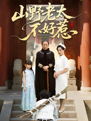 奶奶一脚震全城（64集）太好看了短剧