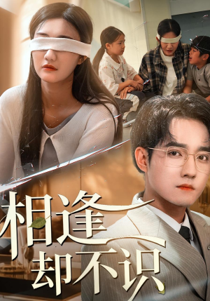 相逢却不识(77集) 相逢却不识(77集)最热短剧推荐