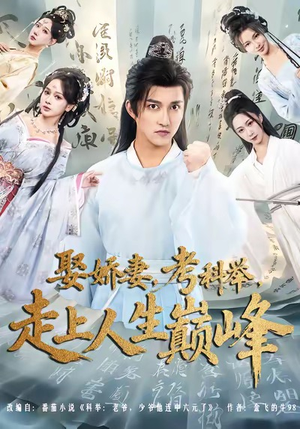 娶娇妻，考科举，走上人生巅峰（80集）上热门短剧