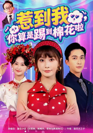 惹到我,你算是踢到棉花啦(67集) 惹到我,你算是踢到棉花啦(67集)去哪里看