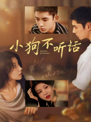 小狗不听话(70集) 小狗不听话(70集)最热门短剧来了