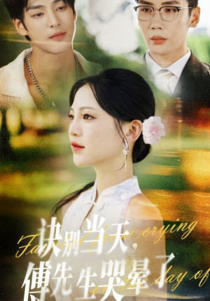 诀别当天傅先生哭晕了（62集）高分推荐免费看