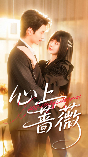 心上蔷薇（100集）每日短剧分享