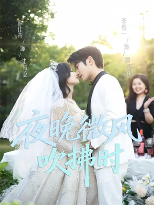 夜晚微风吹拂时（61集）热门短剧来袭