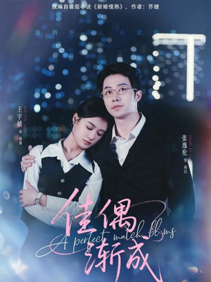 佳偶渐成（71集）短剧解说热门