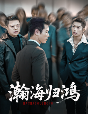 瀚海归鸿(74集) 瀚海归鸿(74集)夸克在线观看