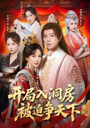 开局入洞房，被迫争天下（88集）海量资源免费看