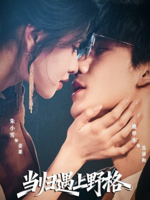 当归遇上野格(66集) 当归遇上野格(66集)最新热播短剧