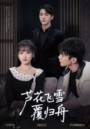 芦花飞雪覆归舟（77集）追短剧关注我