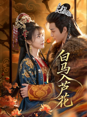 白马入芦花(59集) 白马入芦花(59集)免费在线看全集