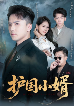 护国小婿(60集) 护国小婿(60集)免费短剧片段