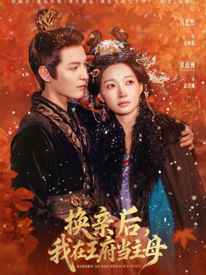 换亲后，我在王府当主母（80集）大结局