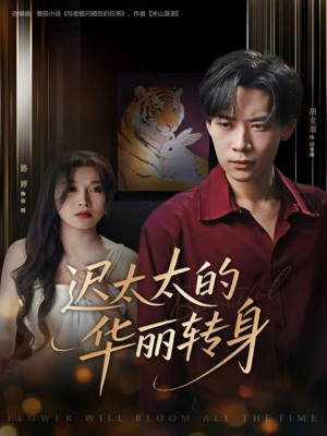 迟太太的华丽转身（80集）短剧有好货推荐