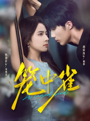 笼中雀(65集) 笼中雀(65集)一口气追完全集