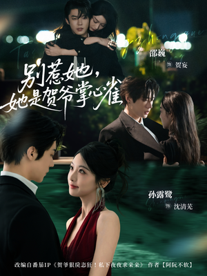 别惹她,她是贺爷掌心雀(69集) 别惹她,她是贺爷掌心雀(69集)短剧小说在线看