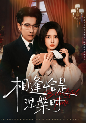 相逢恰是涅槃时（63集）一口气看完全集