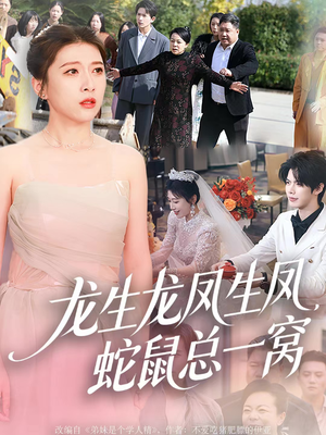 龙生龙凤生凤,蛇鼠总一窝(60集) 龙生龙凤生凤,蛇鼠总一窝(60集)第32集