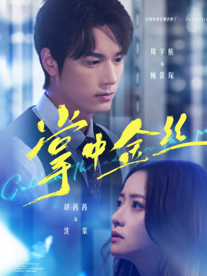 掌中金丝(60集) 掌中金丝(60集)视频在线看