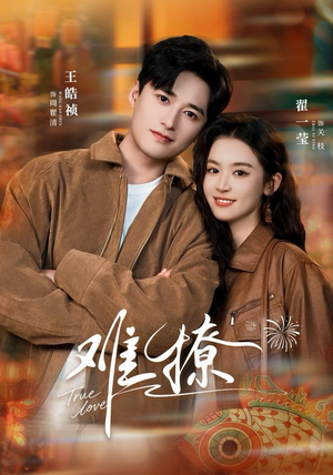 难撩（100集）第一集