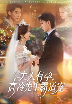 夫人有孕，高冷先生霸道宠（60集）精彩短剧推荐