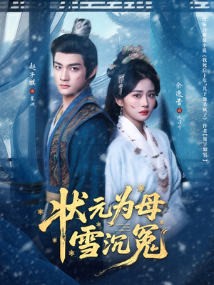 状元为母雪沉冤（58集）男主角是谁