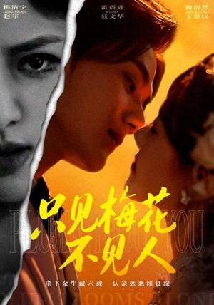 只见梅花不见人（63集）好看吗