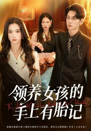 领养女孩的手上有胎记（60集）在哪里可以看