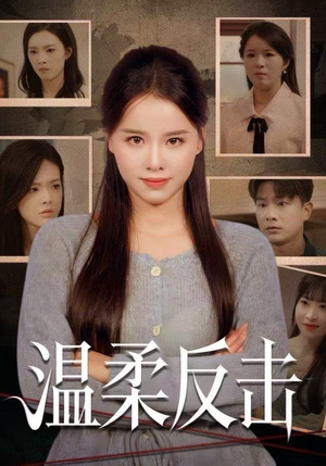 温柔反击（66集）免费在线看全集