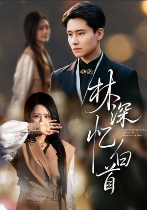 林深忆白首（60集）排行榜前十短剧