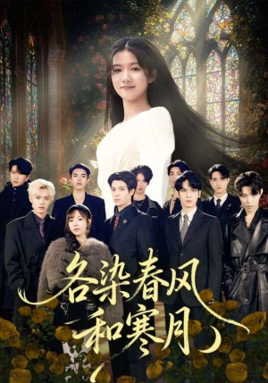 尘埃里的真千金（67集）短剧全集更精彩